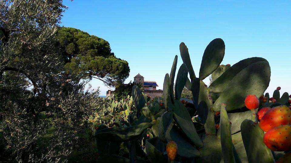 Posta Santa Croce Villa บิสเชลเย ภายนอก รูปภาพ
